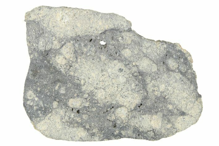 Eucrite Meteorite Slice ( g) - From Vesta Minor-Planet #280644